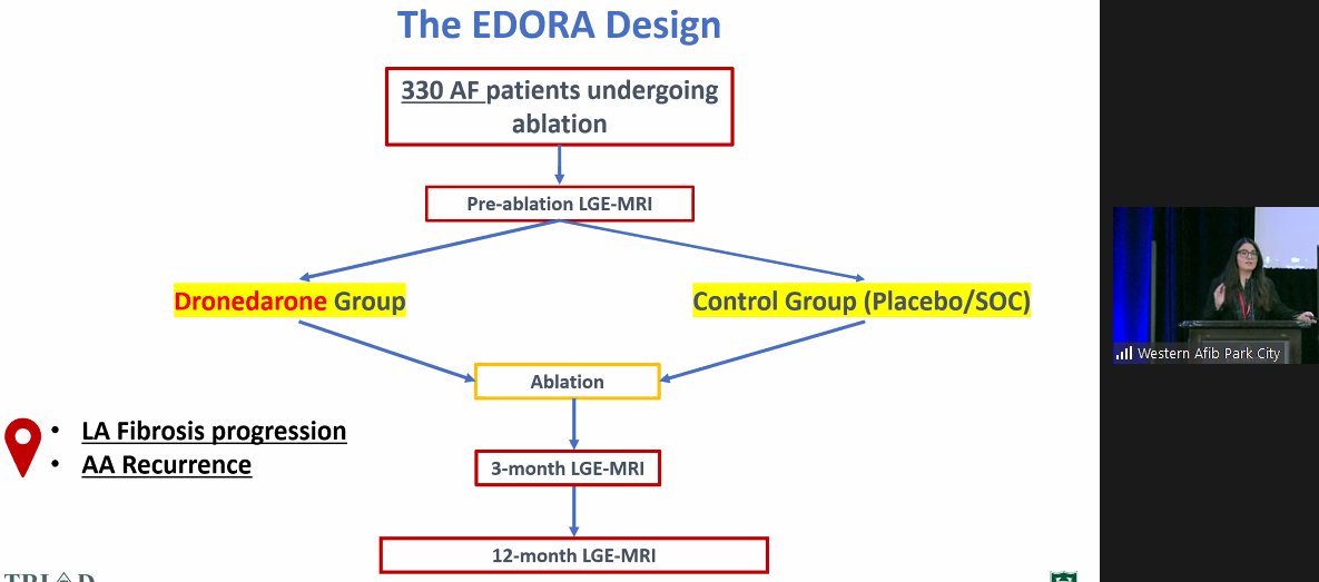 netta_doc's tweet photo. Design of the #EDORA trial from @DagherLilas - looking at #dronedarone and prevention of post #AblateAFib atrial fibrosis progression, using #wearables and #CMR #LGE
#WAFib2021 #WomeninEP
Read more about the trial here: https://t.co/RJuhbEXGR6 https://t.co/aY3BY0FaKM