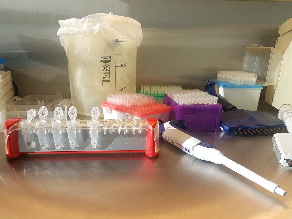 Emmanuelle Munger (@emmanuelle_mun) on Twitter photo Very interesting and diverse week with <a href="/OneHealthPact/">One Health PACT</a>! Mosquito identification, wild bird catching and metagenomic sequencing for arboviral surveillance in wildlife. <a href="/BlomRody/">Rody Blom</a> <a href="/TjommeM/">Tjomme van Mastrigt</a> <a href="/MarionKoopmans/">Marion Koopmans, publications: https://pure.eur.nl</a> <a href="/Essenburgpark/">Essenburgpark</a> Very interesting and diverse week with <a href="/OneHealthPact/">One Health PACT</a>! Mosquito identification, wild bird catching and metagenomic sequencing for arboviral surveillance in wildlife. <a href="/BlomRody/">Rody Blom</a> <a href="/TjommeM/">Tjomme van Mastrigt</a> <a href="/MarionKoopmans/">Marion Koopmans, publications: https://pure.eur.nl</a> <a href="/Essenburgpark/">Essenburgpark</a>
