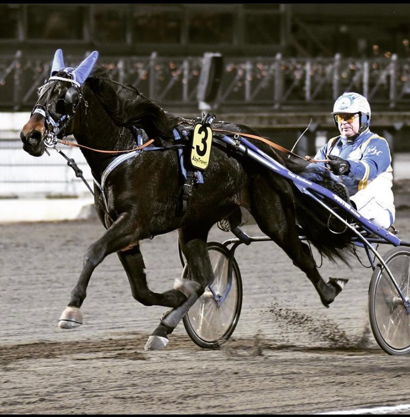 Veijo and Lukaku Di Quatro ✨🌟🏆