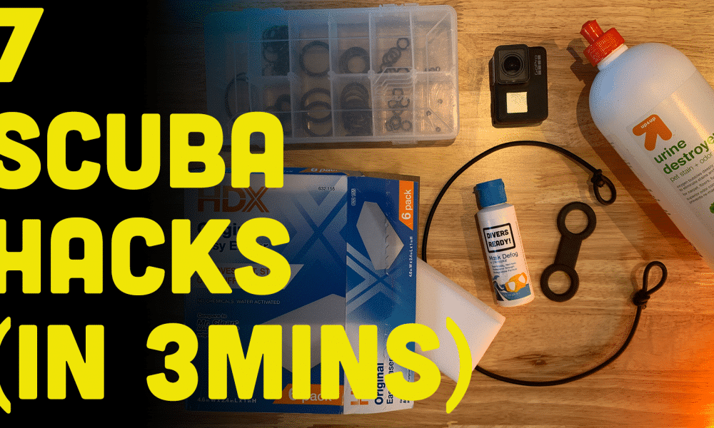 ScubaverseMedia's tweet photo. 7 Scuba Hacks In 3 Minutes Plus: Bonus Hack That Could Save You $400! (Watch Video). @DiversReady give you 7 tips to make your life as a diver easier.
#DiversReady #dive #tips #video #blog #diving #hacks #scubadiving
https://t.co/mEYo3nNaKO https://t.co/Bas6o7P8m0