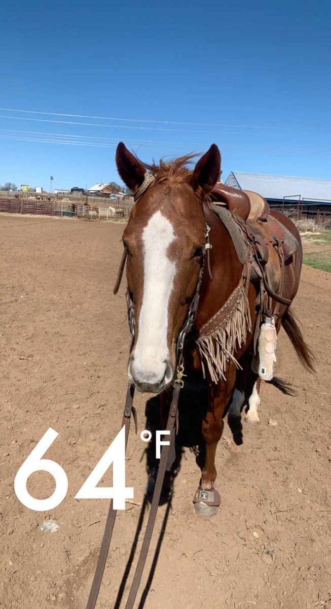 Chesney enjoying the sun❤️