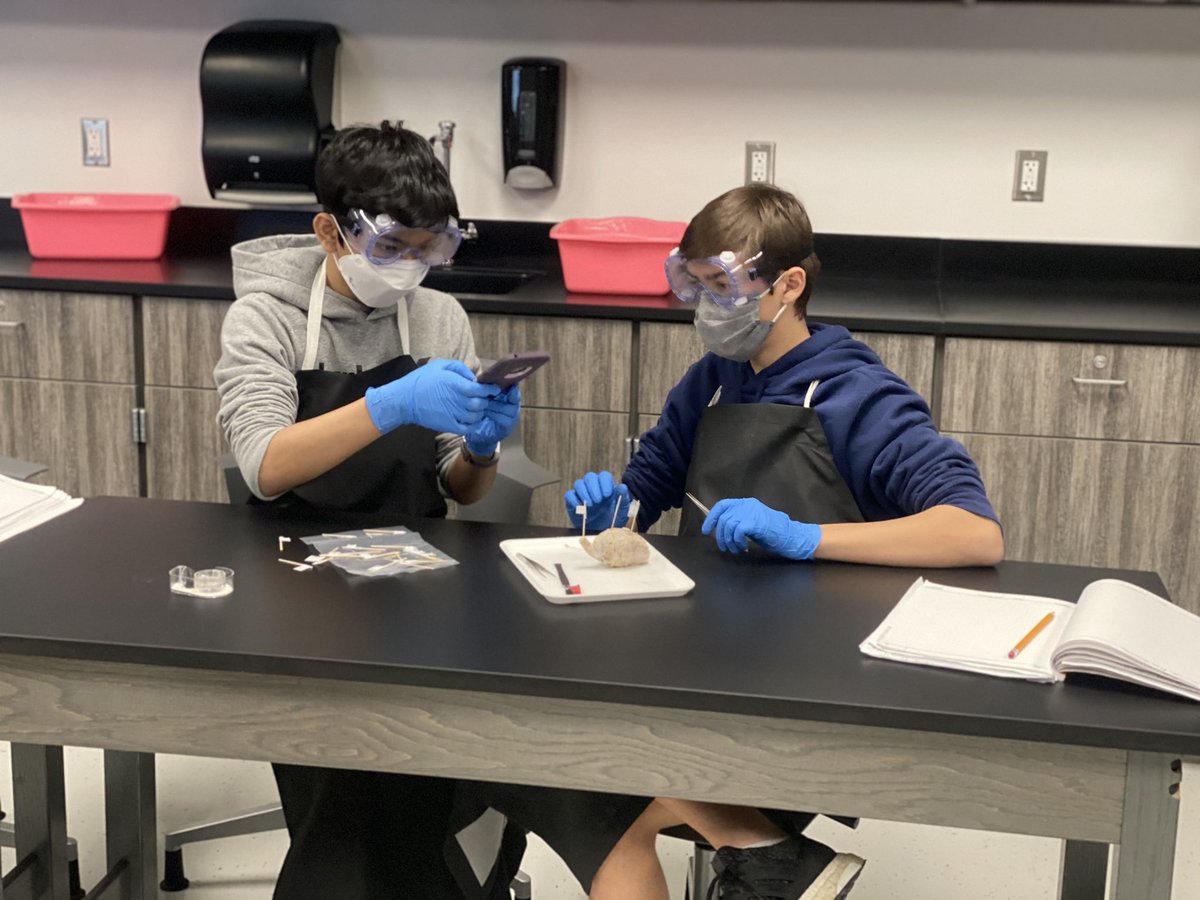 miagfinch's tweet photo. I always love watching @Mrs_Kaufmann teach, but yesterday was especially fun! Her amazing biomed students dissected sheep brains and it 👏🏼 was 👏🏼 awesome! @prosperCTE @ProsperRushing https://t.co/pZxvqU0Opr