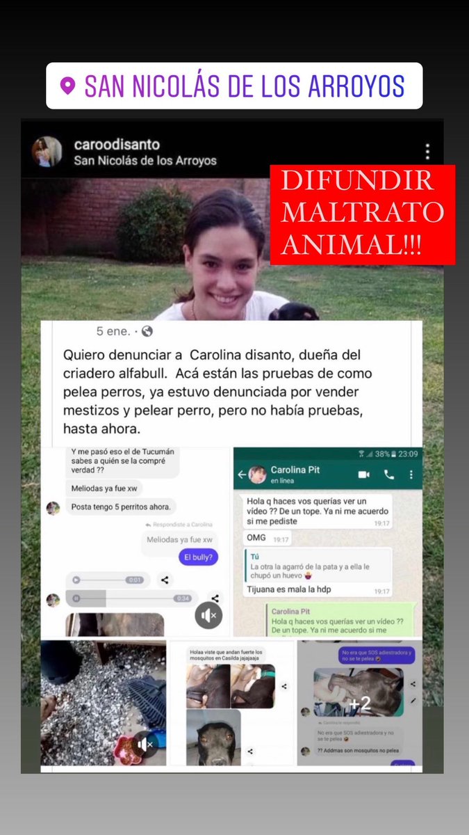 AriPasquali_'s tweet photo. Maltrato animal en San Nicolás https://t.co/H5sJIErpU9