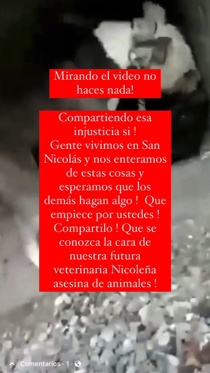 AriPasquali_'s tweet photo. Maltrato animal en San Nicolás https://t.co/H5sJIErpU9