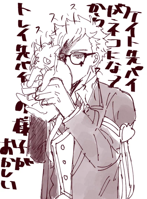 ♦️が猫になったトレケイ 