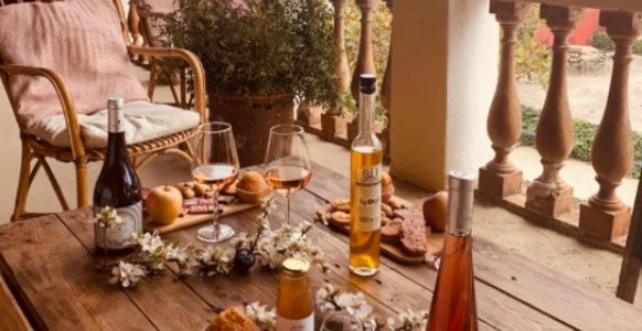 En general s'hauria de berenar pastes artesanes entre vinyes i fer tast de vins sota els últims raigs de sol de la tarda més sovint, oi? 🍇

Reserva la teva experiència a <a href="/fincacanestella/">Bodegues Can Estella</a> 🤗 bit.ly/37Q3fE4
--
📍Sant Esteve Sesrovires
#BaixLlobregat
#TurismeBaixLlobregat