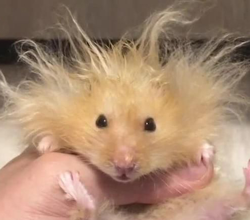 Today I don't care about my hair #sunday