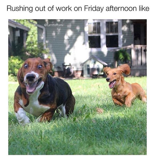 ITeethPC's tweet image. 