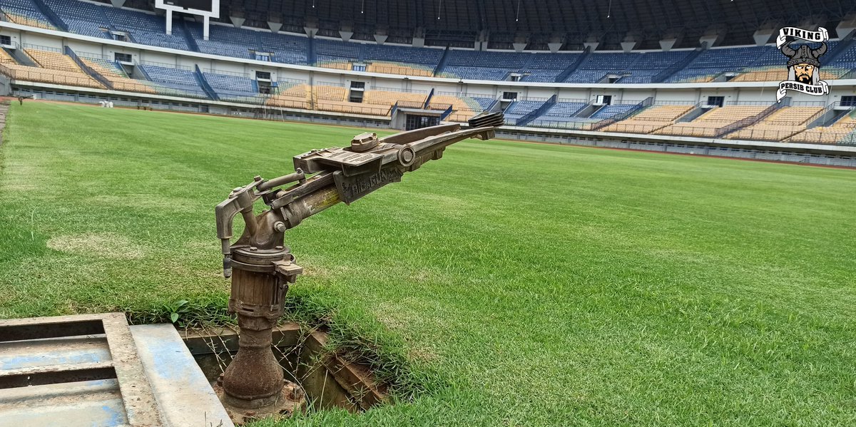 𝖛𝖎𝖐𝖎𝖓𝖌 𝖕𝖊𝖗𝖘𝖎𝖇 𝖈𝖑𝖚𝖇 tweet media