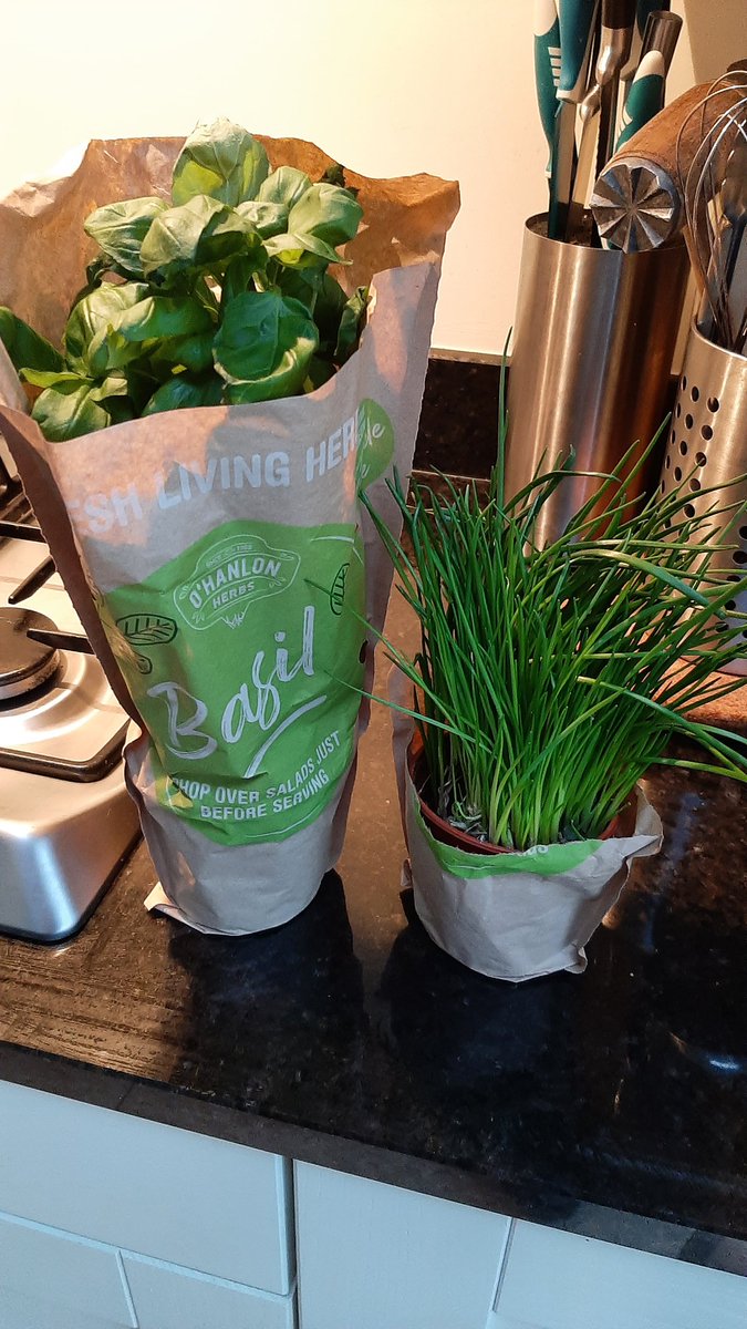 Seán Montague tweet media