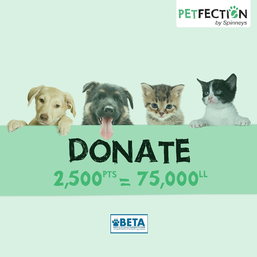 SpinneysLebanon's tweet photo. Now you can help by donating to @betalebanon just with your Spinneys points on https://t.co/iwtwNNLrtb
#Pets #Petfection #petsOfLebanon #donate #Donation https://t.co/dqOUPQmeOw