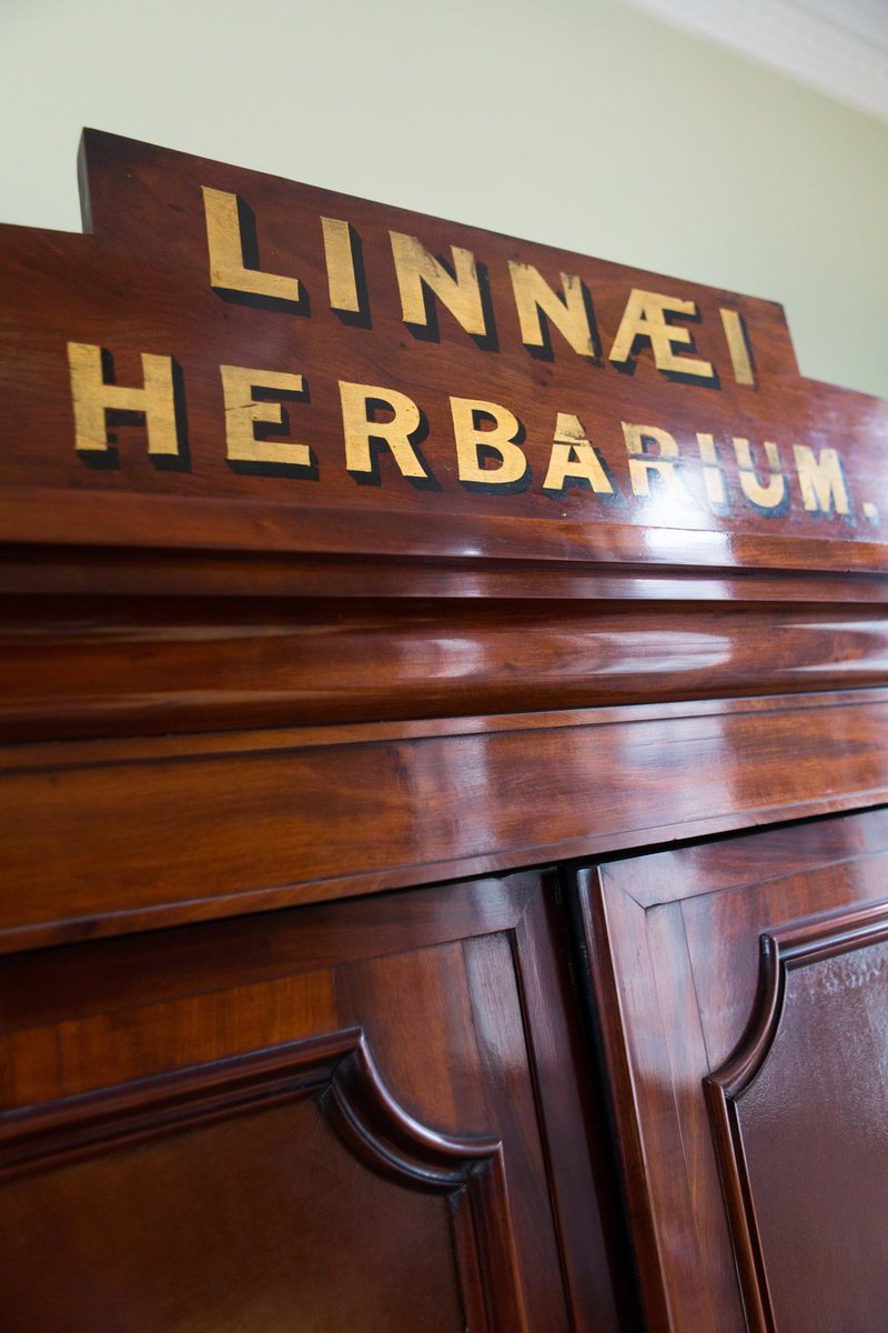 Glenn Benson FLS 🦤🪴🍄🦠🧫 tweet media