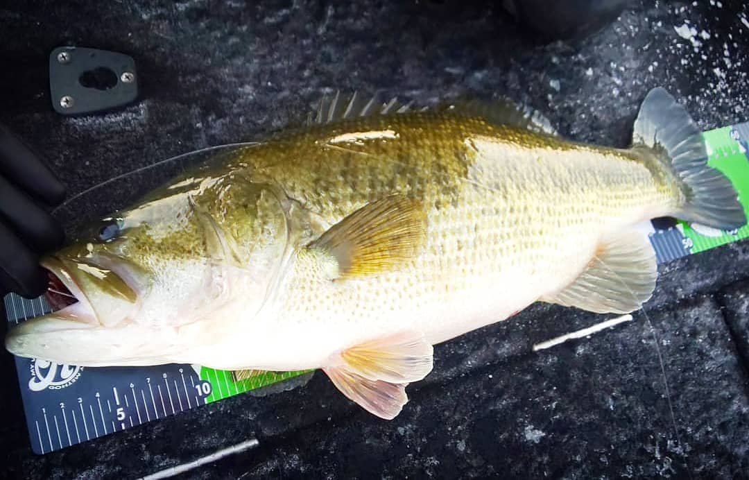 プロショップかつき