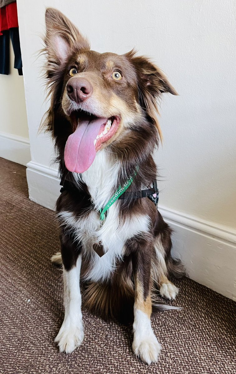 SpeakToMe_Whittington tweet media