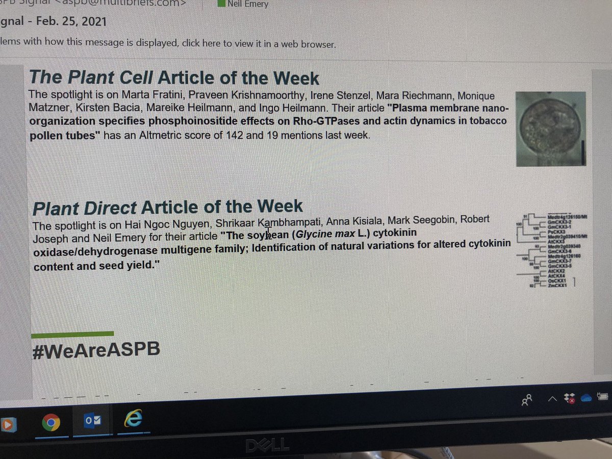 Our <a href="/TrentUniversity/">Trent University</a> #emerylab <a href="/shrikaar_k/">Shrikaar Kambhampati</a>  soybean/cytokinin gene paper got Article of the Week by the journal Plant Direct