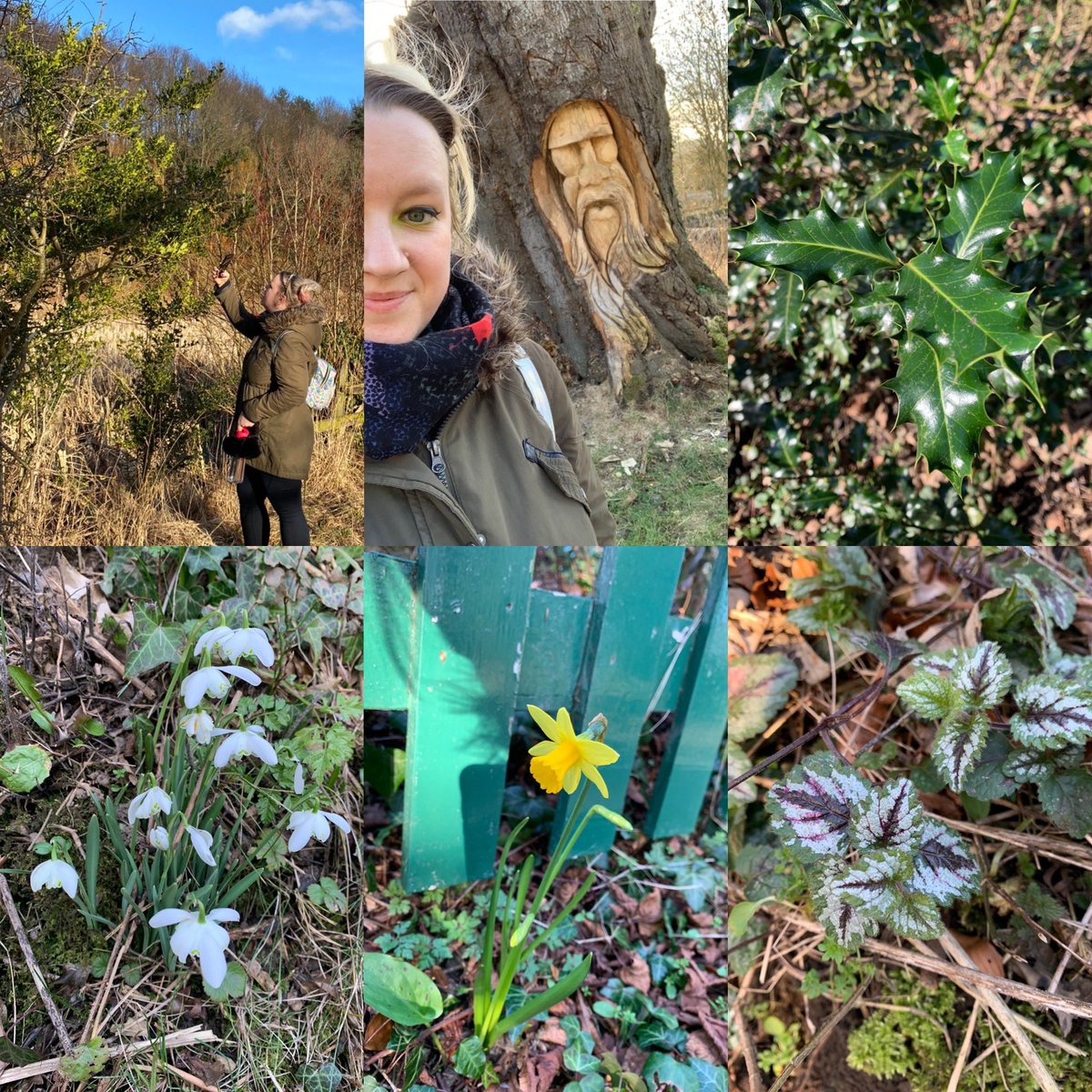 KayleighScottLD's tweet photo. Im spending the last hour of my work day/week using some of my Sage Foundation time! 💚

I’m wandering around finding nature to photograph and log for iNaturalist! I’ve made a note of things still not quite in spring mode to get next time around! 💚

#sagefoundation #inaturalist https://t.co/L1ww5LjMFP