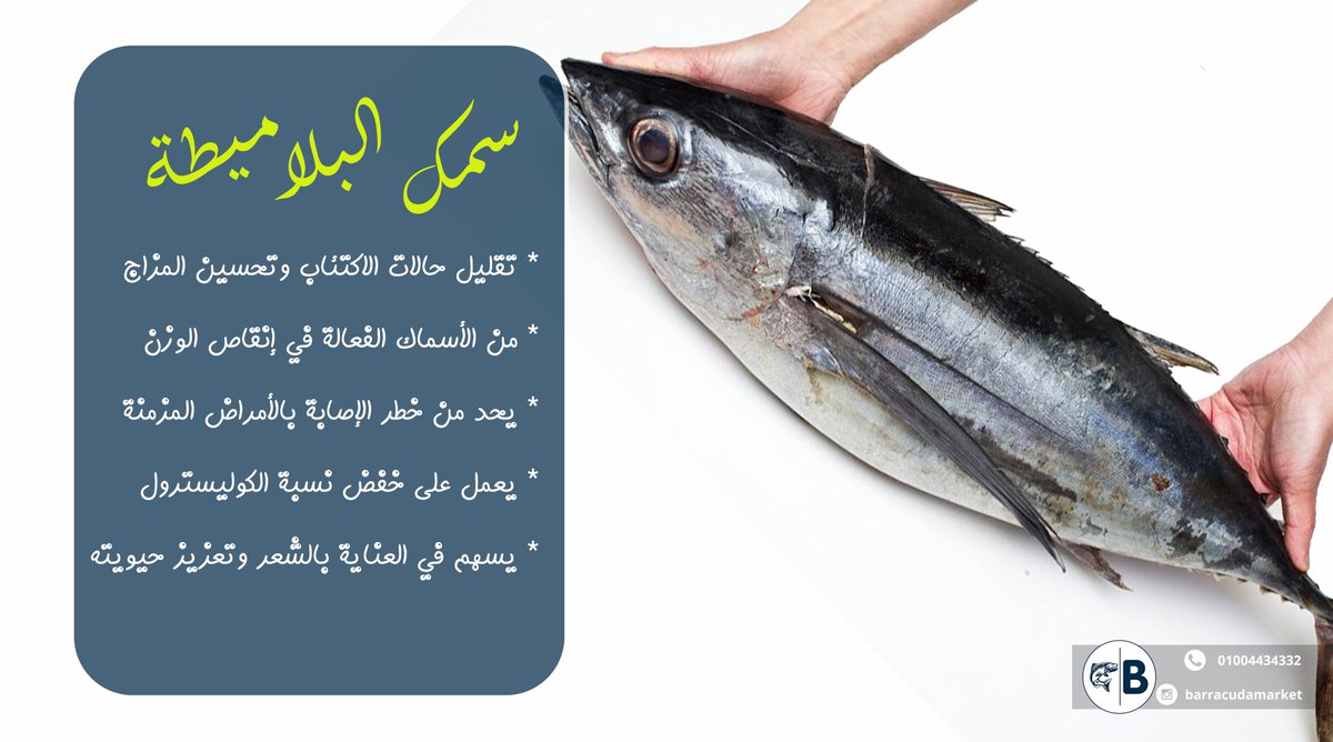سمك البلاميطة (او تونه الماكريل) هي الخيار الامثل والأفضل للناس اللي حابه تاكل لحم تونه غير معلب وسعر معقول. وزن السمكة بيتراوح من 1 لحد 3 كيلو وسعر الكيلو 80/90 جنيه
اطلب سمكة البلاميطة من باراكودا على رقم 01004434332 ، او ابعتلنا رسالة وهنتواصل معاك
#باراكودا
#السمك_من_البحر