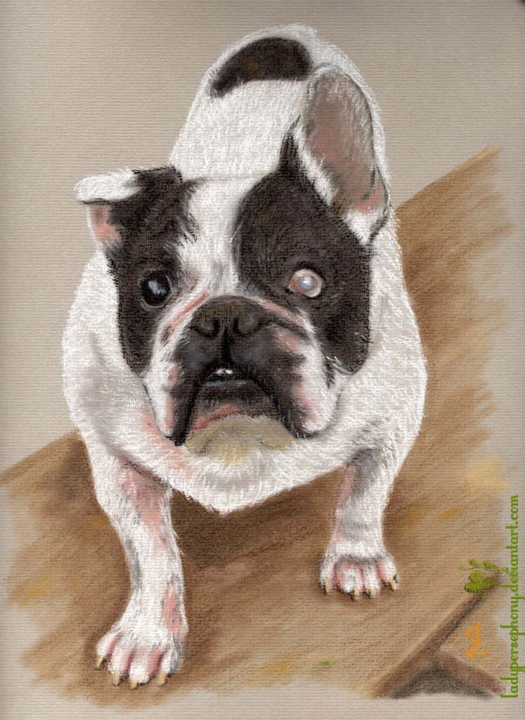 lady_persephony's tweet photo. #DechartGames February Art Prompts Day 26 : Pets
Drawing of my French bulldog Kappy πΆπ
.
πI miss him so muchπ
.
#FebDechArt #ConnorArmy #traditionalart #drawing #pastel #frenchbulldog #ilikedogs https://t.co/b3xO8ICyaI