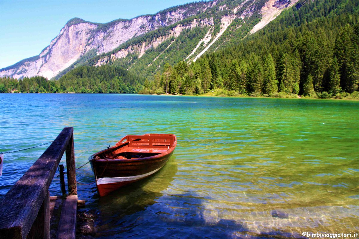 Bimbi Viaggiatori tweet media