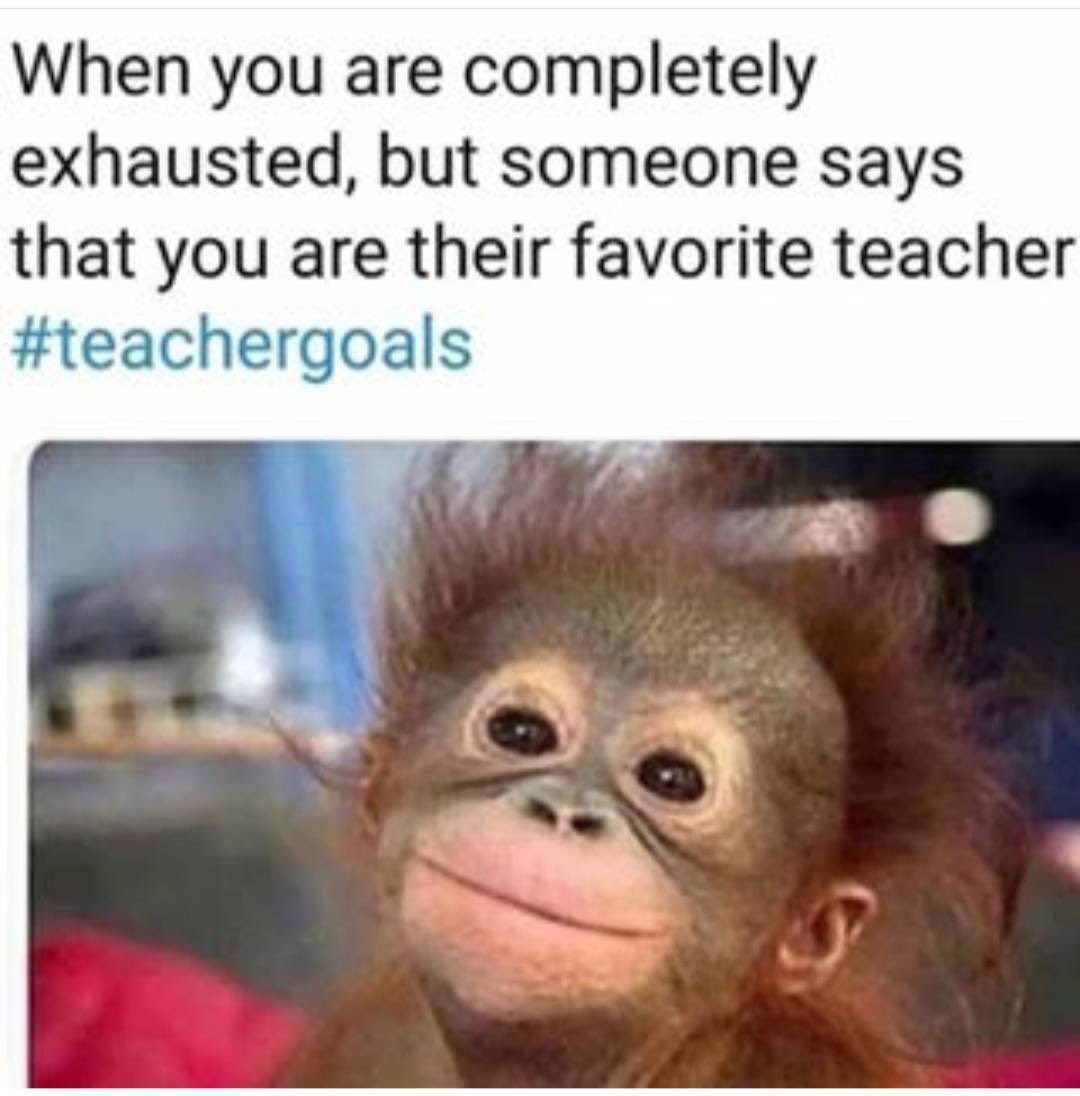 During seminar, <a href="/judyfowler/">Judy A. Fowler, Ph.D.</a> challenged us to find two memes that represent our Ss teaching journey. One for how it started and another for how it’s going. I’ve learned that you take the wins where you can, and the end result is always worth it! @PEfowlerRocks10 <a href="/GCShealthandpe/">GCS Health and PE</a>