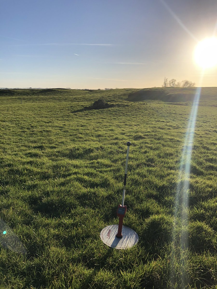 beefshorthorn's tweet image. What an afternoon to be measuring some deferred grass for twin bearing ewes to see them through to lambing. #measuretomanage 🐑 #foolsspring 🌱 ☀️