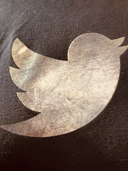 Wearing my #goldbird t for the second day in a row ... just because. https://t.co/1Tud6jbi7p<a href="/tag/goldbird"class="tags">#goldbird</a>