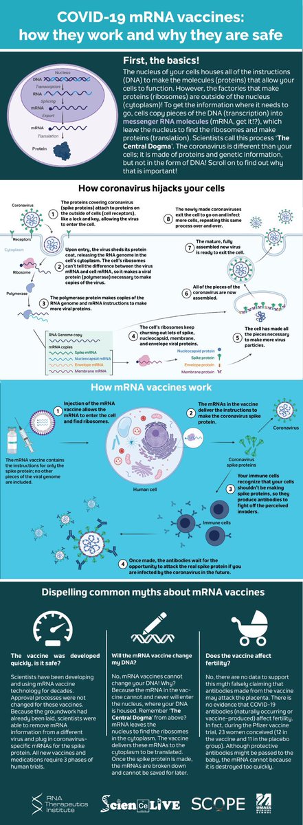 RNA Therapeutics Institute tweet media