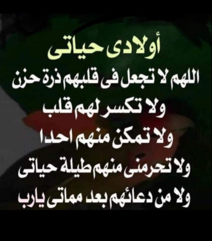 ياعلي ٢ tweet media