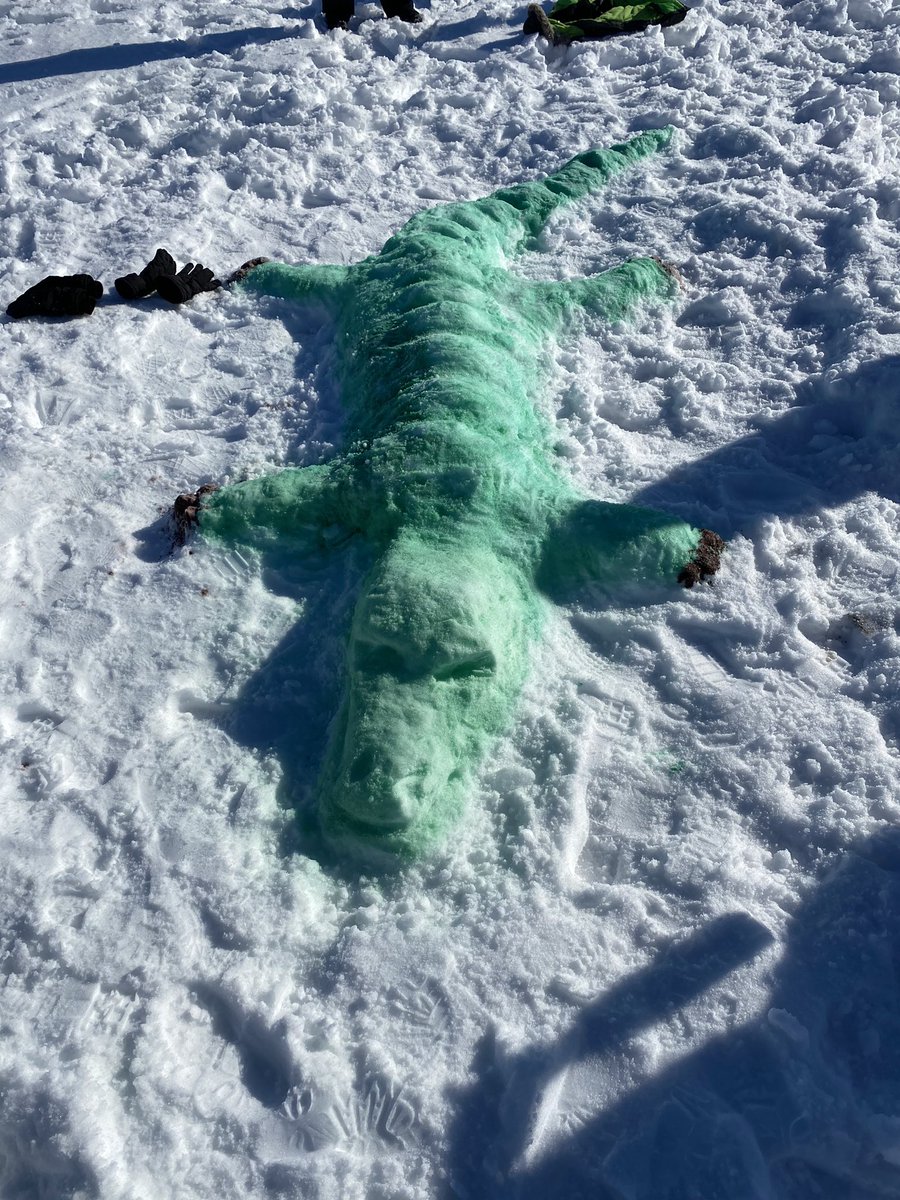 MrsJiggins(Longeway) tweet media