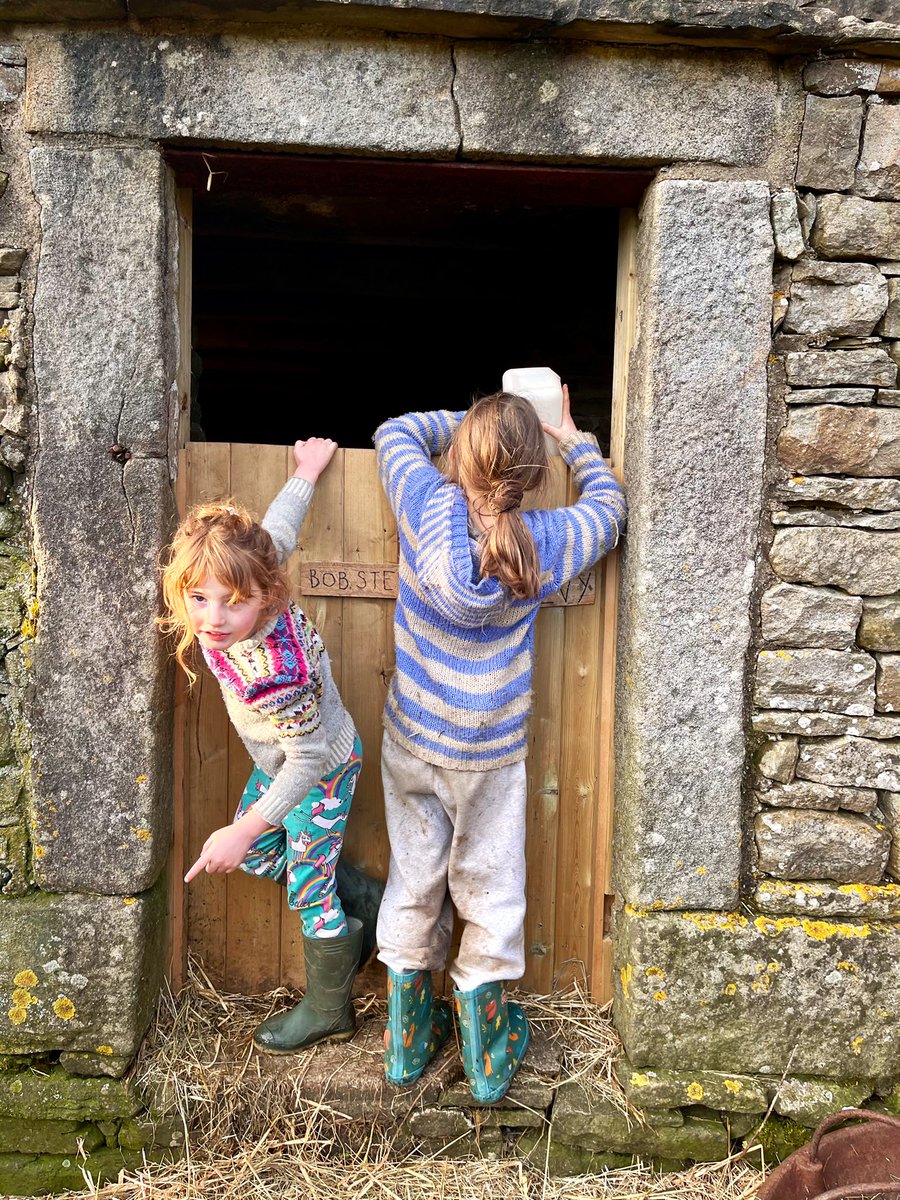 AmandaOwen8's tweet photo. Educating the mind without educating the heart is no education at all. 
~Aristotle~
❤️❤️❤️❤️❤️❤️❤️❤️❤️❤️❤️❤️
#nature #outdoors #outside #play #learning #responsibility #life #lessons #education #busy https://t.co/91moOkS7UK