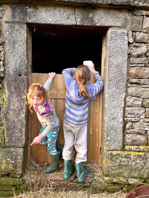 Image from YorkshireShepherdess (@AmandaOwen8)