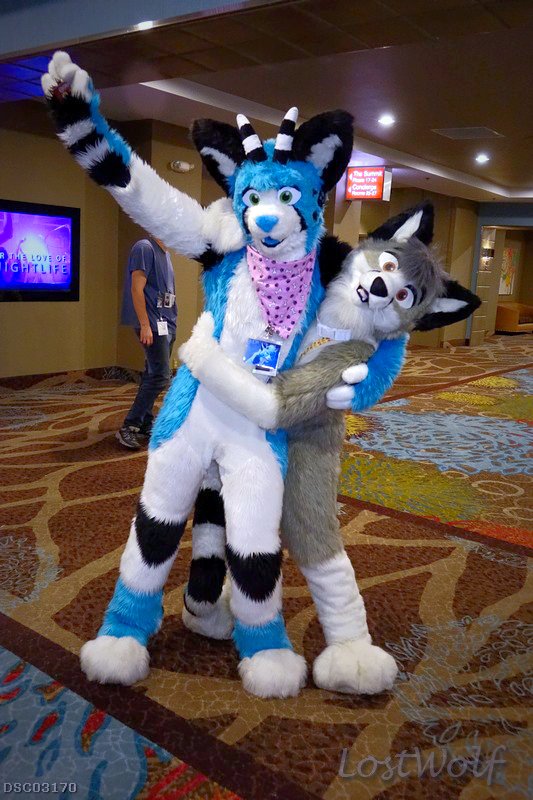 Flashback!!!
It's <a href="/REM_kitty/">#!/usr/RΞM</a> &amp; <a href="/VittyFox/">Mercury➡️AC</a> <a href="/BiggestLittleFC/">Biggest Little Fur Con</a> #BLFC2015 #BLFC15