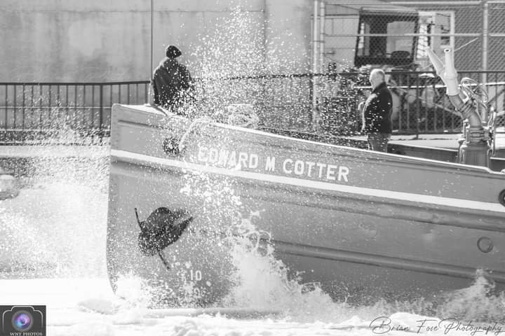 Edward M Cotter Fire Boat was out today to break up the ice in Lake Erie today... They have been going out often to break up the ice in the lake and harbor.  

#Fireboat #edwardmcotter #buffalo #buffalofiredept #winter #lighthouse #ice #lakeerie