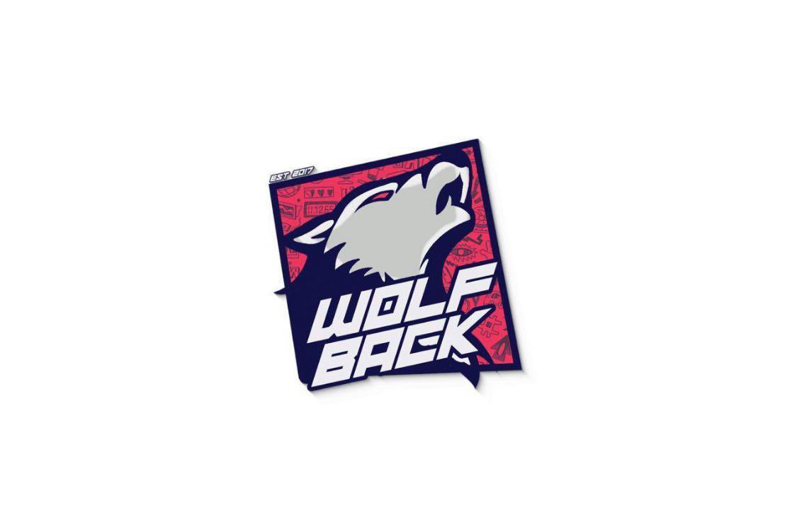 WOLFBACK tweet media