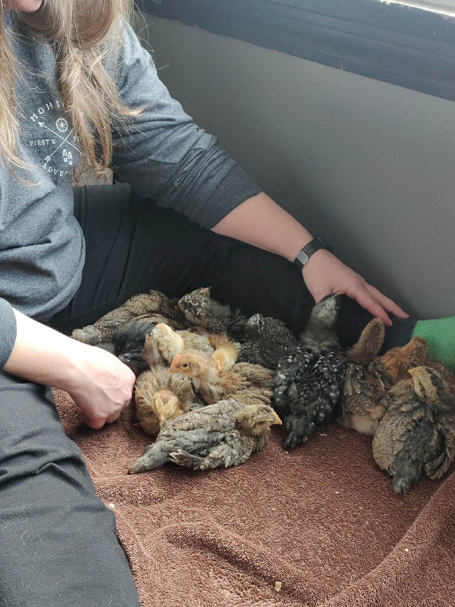 Rich Booth tweet media