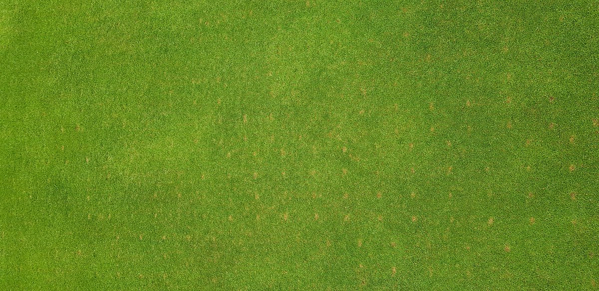 craigbetts54's tweet photo. Great week on the course @AldwickburyGolf, all main playing surfaces cut for the 1st time this year, greens are recovering well post maintenance and fairways had a application of @HeadlandAmenity Elevate FE and Extend 46.0.0 #countdowntoreopening https://t.co/i4JHKqpUhM