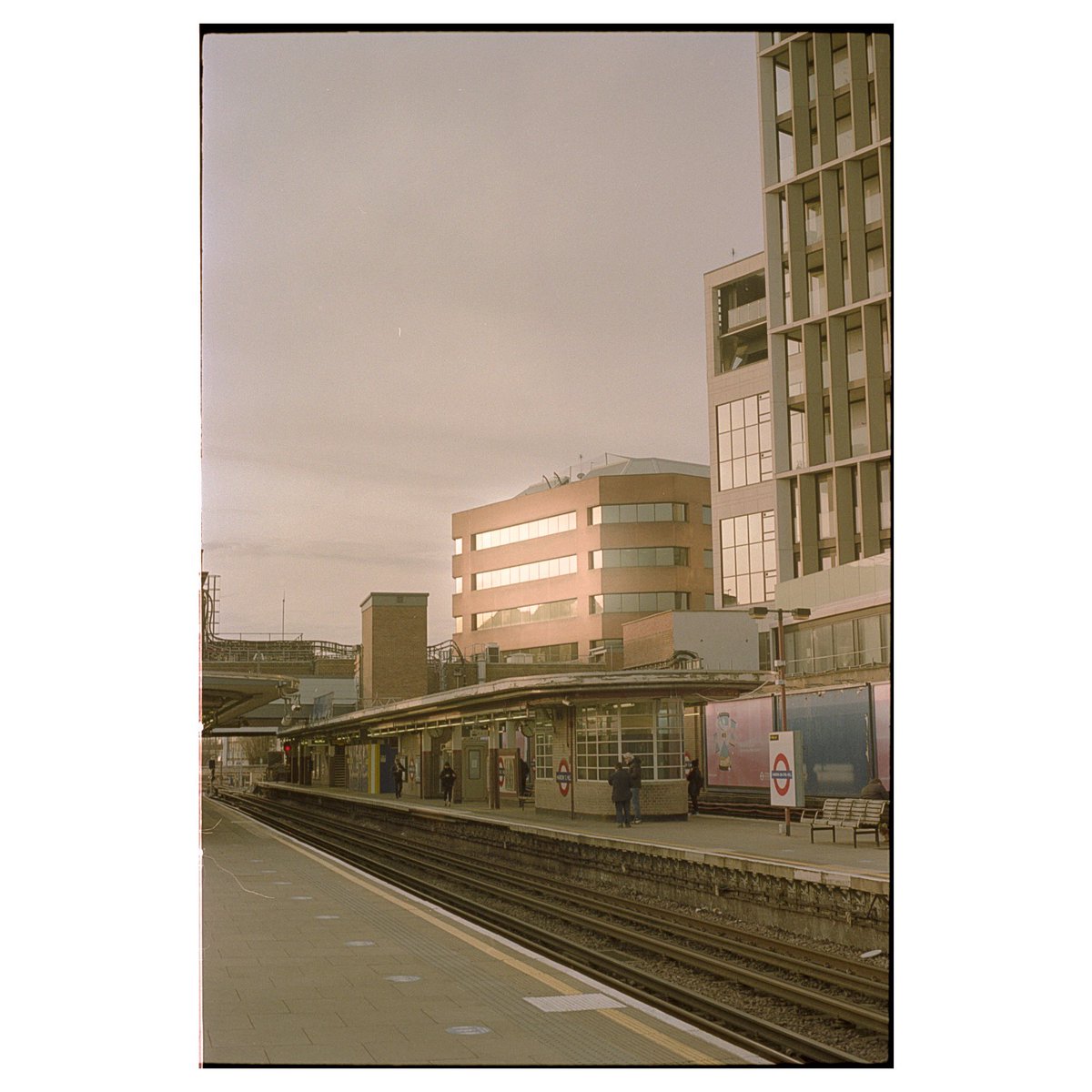 _mhjs's tweet image. sexy summer evenings inbound // #ProImage100