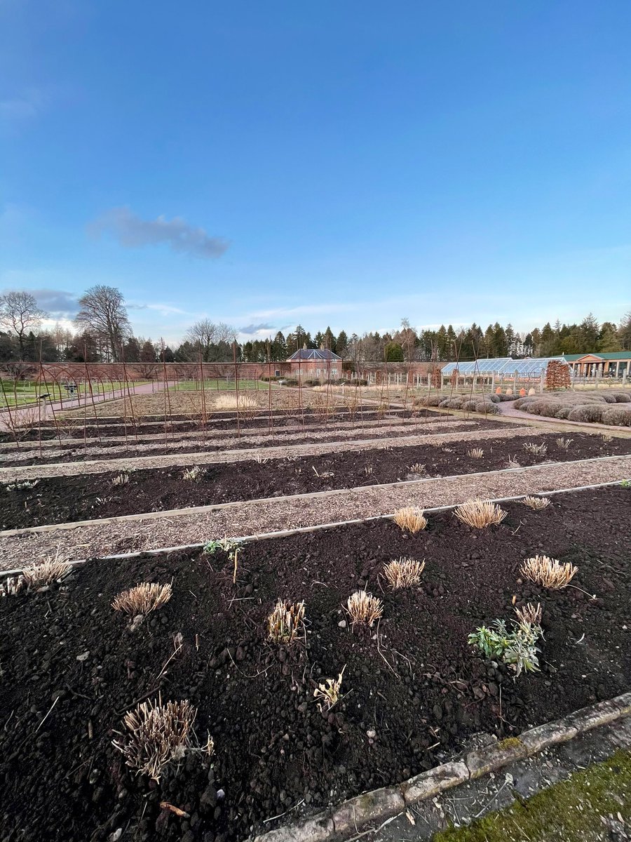 Not the most exciting of pics but all 16 cutflower beds mulched with our compost this week 💪