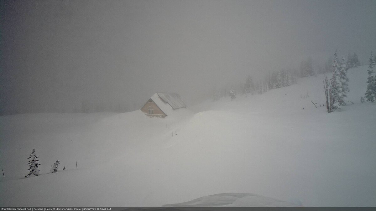 NWSSeattle's tweet image. A comparison of a typical mid summer scene versus the current one at the visitor center at Paradise at Rainier. #wawx