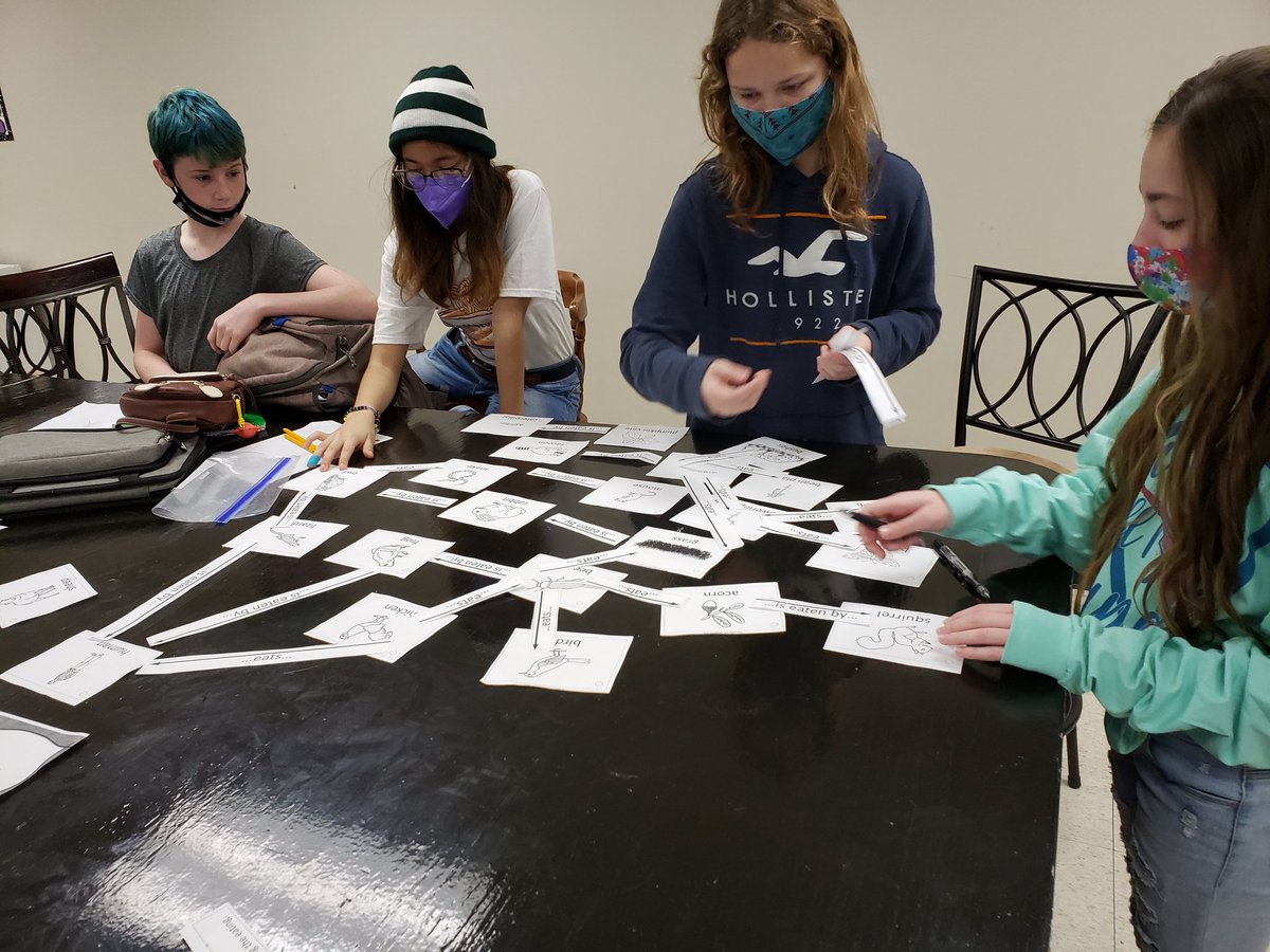 MrsCobbScience's tweet photo. Diagramming the flow of energy through living systems... @LLMSLynx #lucasprideisjustified #7thgradescience https://t.co/LeNaHWfsFr