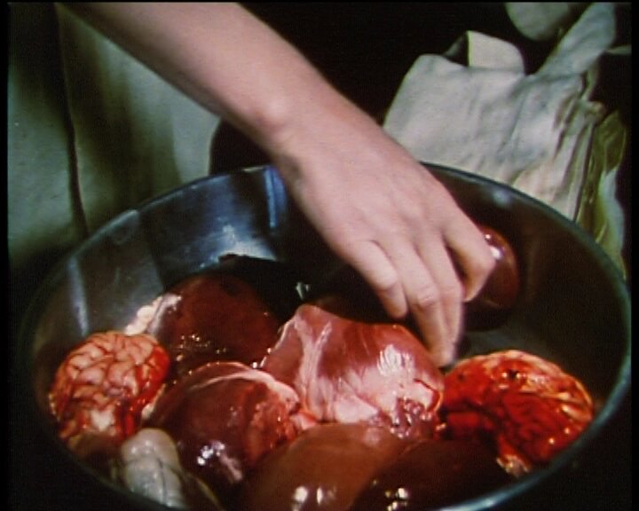 Stedelijk Museum Amsterdam tweet media