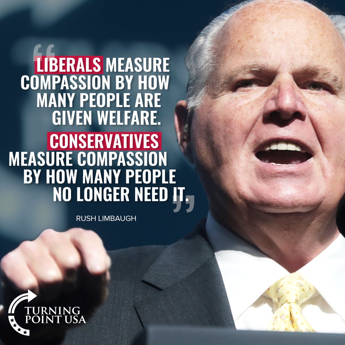 TPUSA's tweet photo. Rush Limbaugh Summed It Up Perfectly! #ThinkForYourself https://t.co/8VSJrvPM4F
