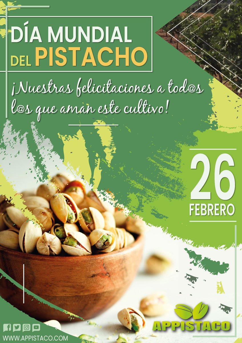 appistaco's tweet photo. Hoy, #26Febrero, l@s pistacher@s celebramos el #DíaMundialdelPistacho, uno de los árboles más antiguos del mundo, un #frutoseco universal q se hace irresistible al paladar y un #superalimento con muchas buenas propiedades para nuestra #salud. ¡AHÍ ES NÁ! 👉https://t.co/gLzAuk4cDh https://t.co/uIERB754gs