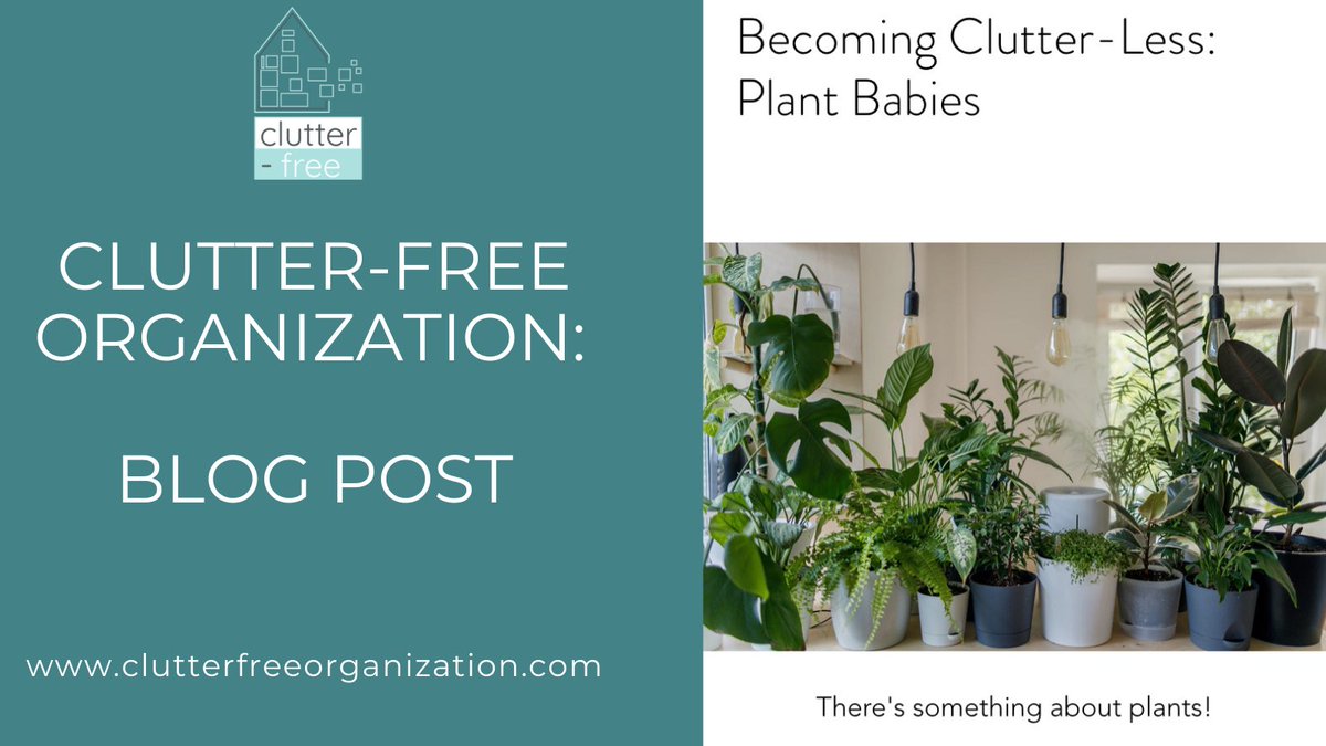 Clutter_FreeOrg's tweet photo. Read my latest blog post (https://t.co/JaAjTvNTKj) for tips to organize your houseplants supplies and accessories. #GaylaOrganizes⠀⠀⠀⠀⠀
#blogpost #clutterfree #declutter #getorganized #houseplants #howtoorganize #morespace #organizationblogger #plantbabies #plantparent https://t.co/Bcbah2qf3z