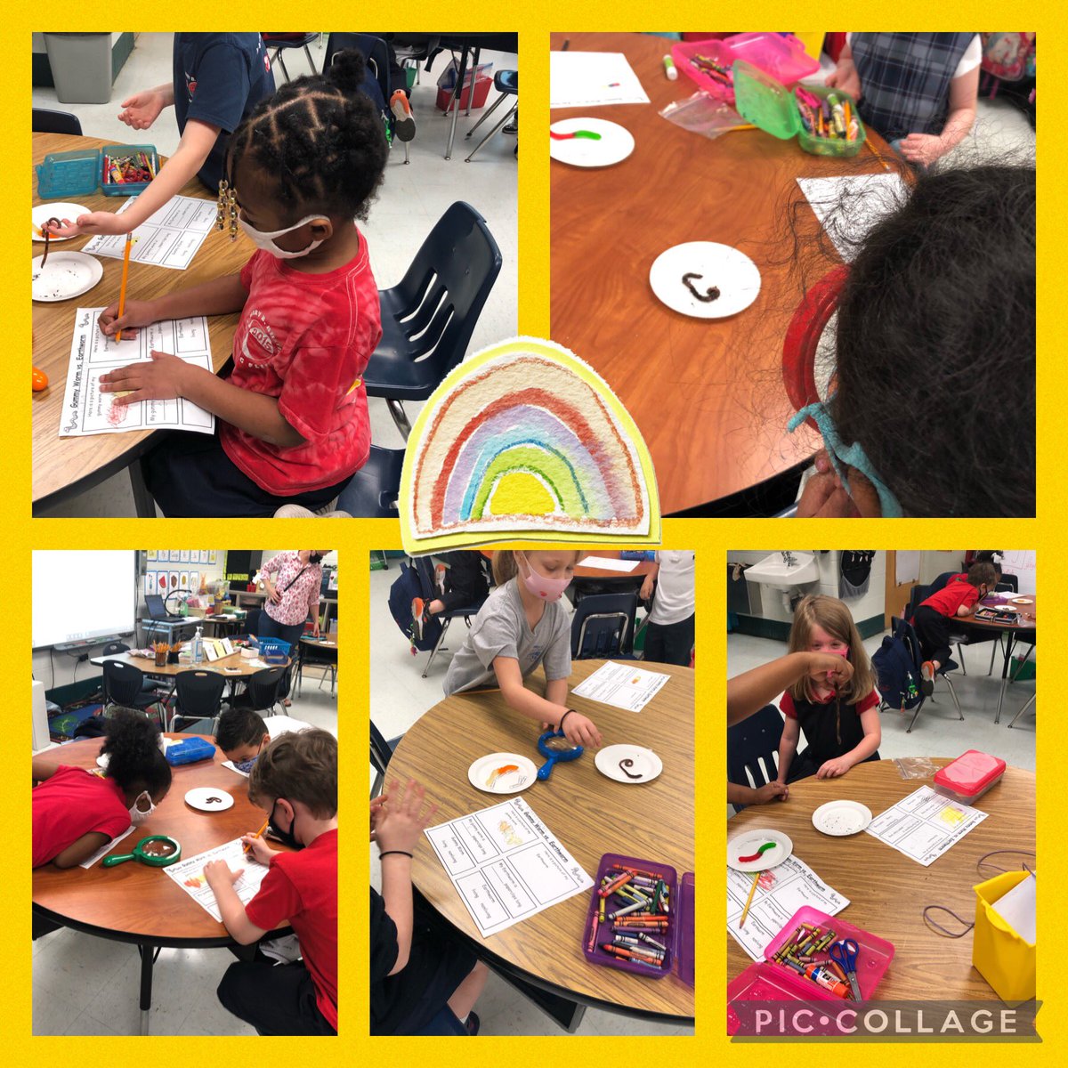 ALitCoach's tweet photo. @HabelSara is THE BEST Science teacher...These kiddos had a blast observing living/non living worms. https://t.co/rdYOgml76e