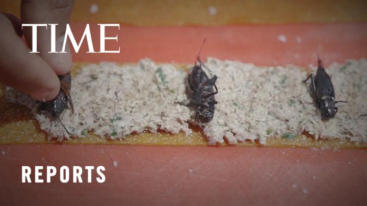 A cricket farm in Madagascar provides insect protein for famine relief and conservation. How much further could it go? https://t.co/TUfRViu2AB
See more from TIME video: https://t.co/LrLy10F2X4 https://t.co/QIh6m7rfIo