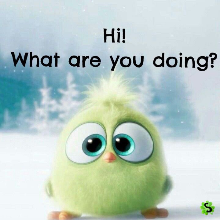 phibeta1's tweet photo. What are you up to today? We want to see how you’re doing! Exciting, boring, interesting, mundane, whatever. Selfies welcomed! 💜 💛 #PhiBetaFamily https://t.co/D6BjnuhLiH