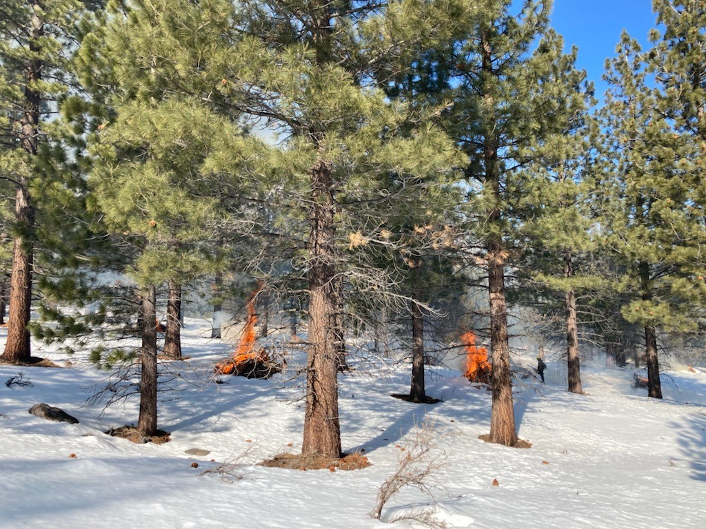 HumboldtToiyabe's tweet photo. Fire crews have been working hard in the #MillProject area, located southwest of Walker, CA, accomplishing roughly 85 acres of prescribed pile burning this week. They are continuing today, so smoke may be visible from Highway 395 near Walker.
https://t.co/EjlQVWvPbn.
#GoodFire https://t.co/HIhA4BaBDF