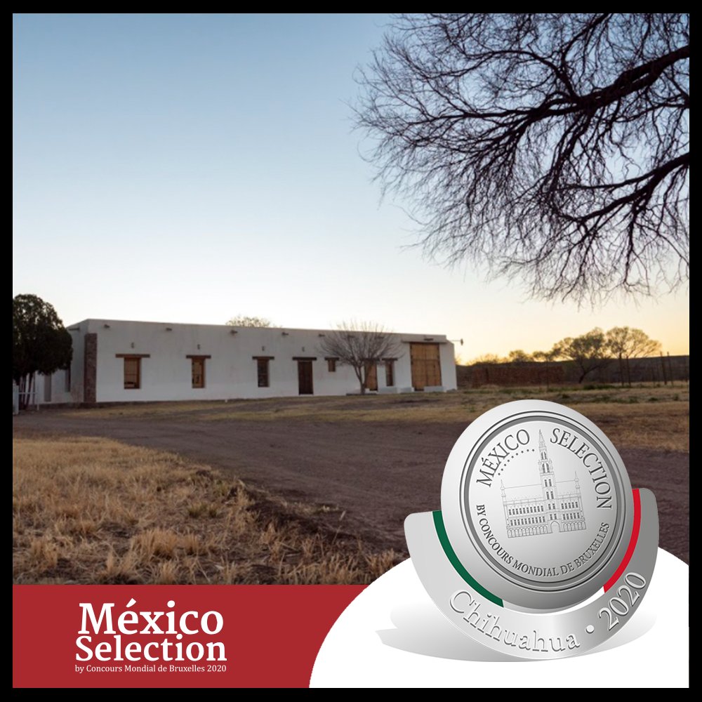 MexicoSelection's tweet image. Este jueves 25 de febrero fue el cuarto día de actividades del México Selection by Concours Mondial de Bruxelles, arrancando con la cata a ciegas a las 9:00 am y cerrando el día con una visita al viñedo Tres Ríos.

Siguiendo el camino de la vid: Chihuahua 2020.