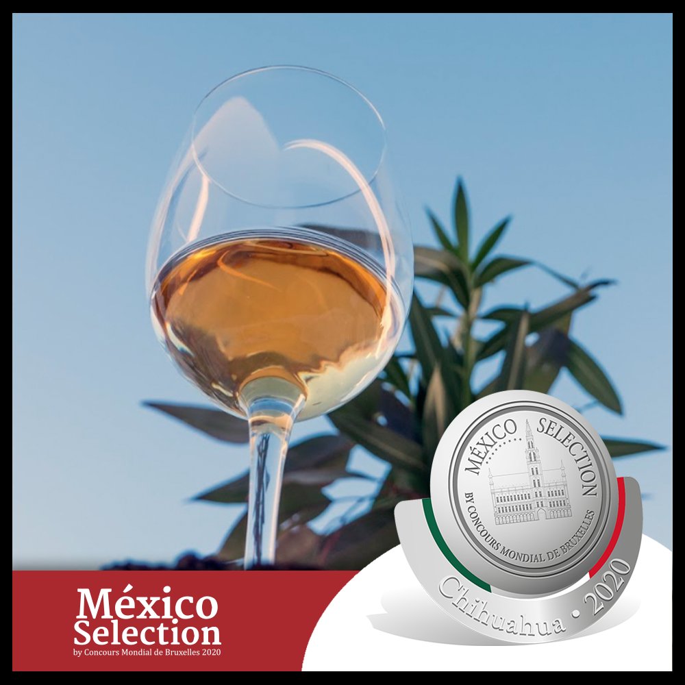 MexicoSelection's tweet image. Este jueves 25 de febrero fue el cuarto día de actividades del México Selection by Concours Mondial de Bruxelles, arrancando con la cata a ciegas a las 9:00 am y cerrando el día con una visita al viñedo Tres Ríos.

Siguiendo el camino de la vid: Chihuahua 2020.
